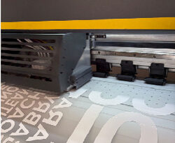 domande frequenti stampa DTF esempio stampa su pellicola transfer